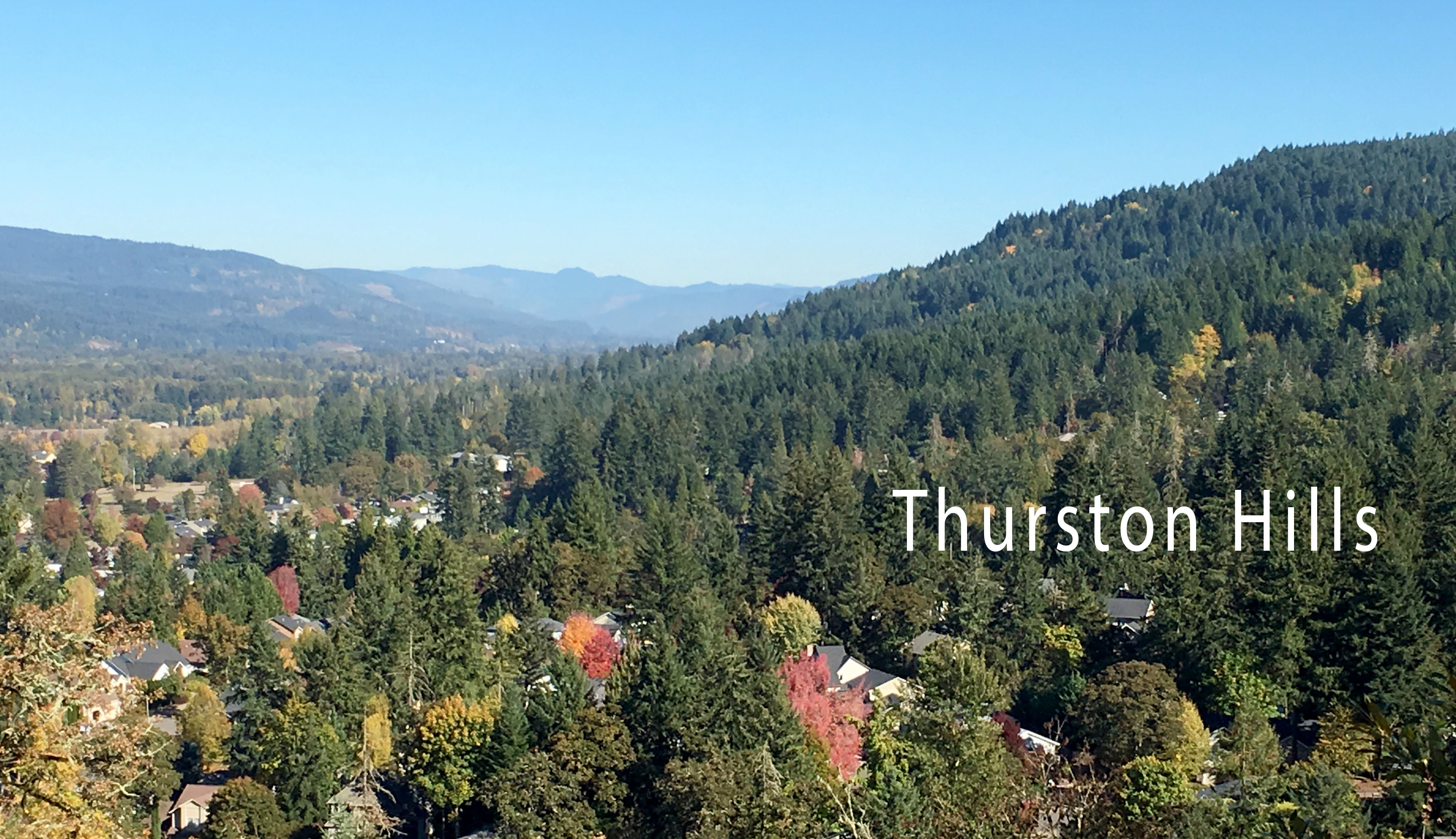 Springfield & Thurston Judy Casad