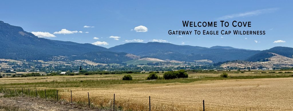 TAP to Link to Homes & Land for Sale