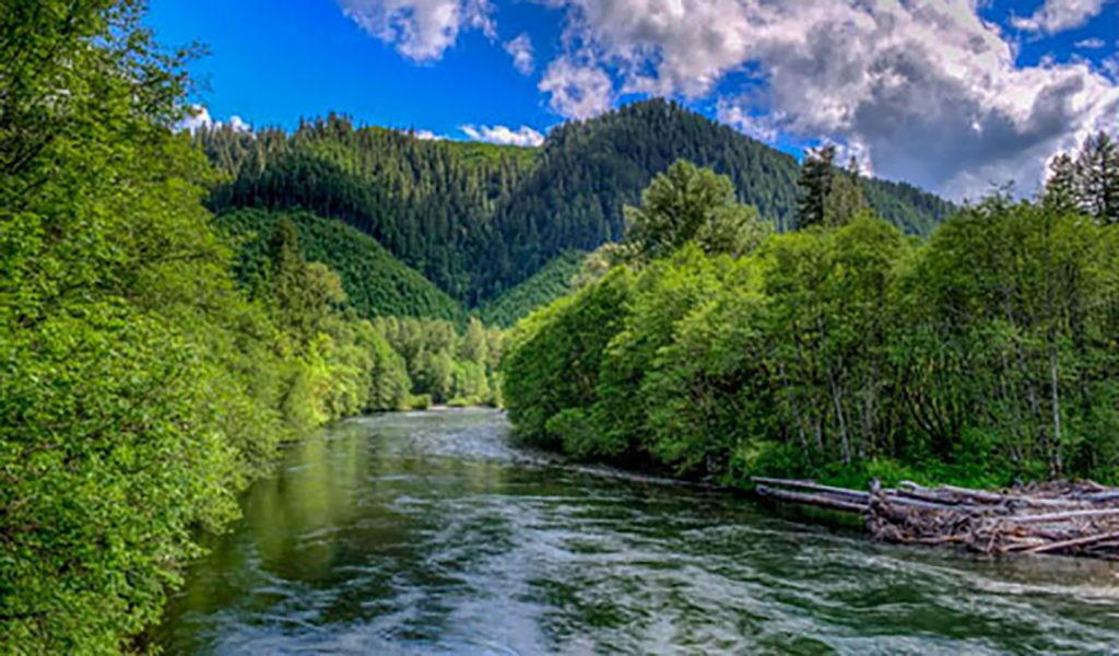 McKenzie River Daytime by Mike Shaw - 2013 Photo Contest